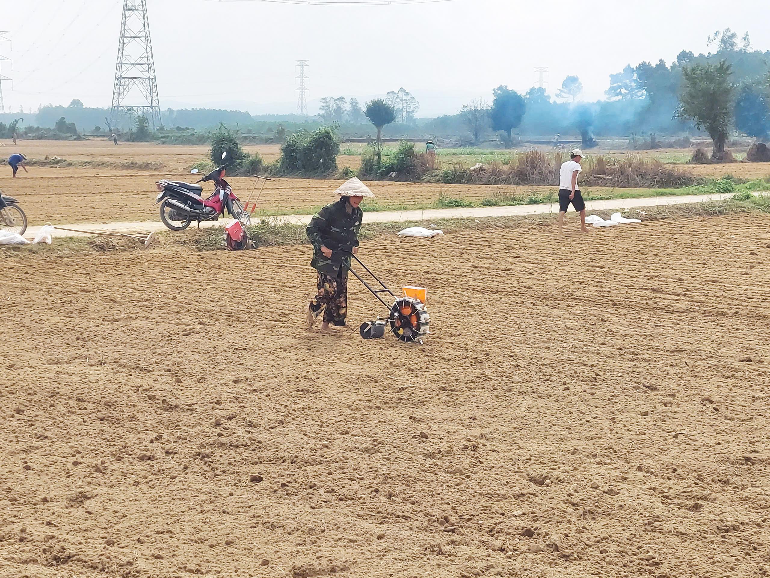 Thôn Quật Xá đẩy mạnh cơ giới hóa gieo lạc, giảm chi phí nhân công vụ Đông Xuân 2025-2026