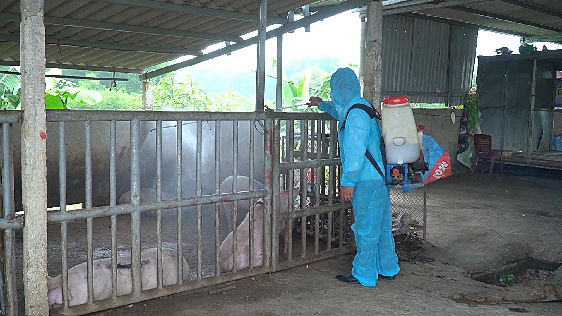 Triển khai tháng vệ sinh tiêu độc, khử trùng môi trường chăn nuôi