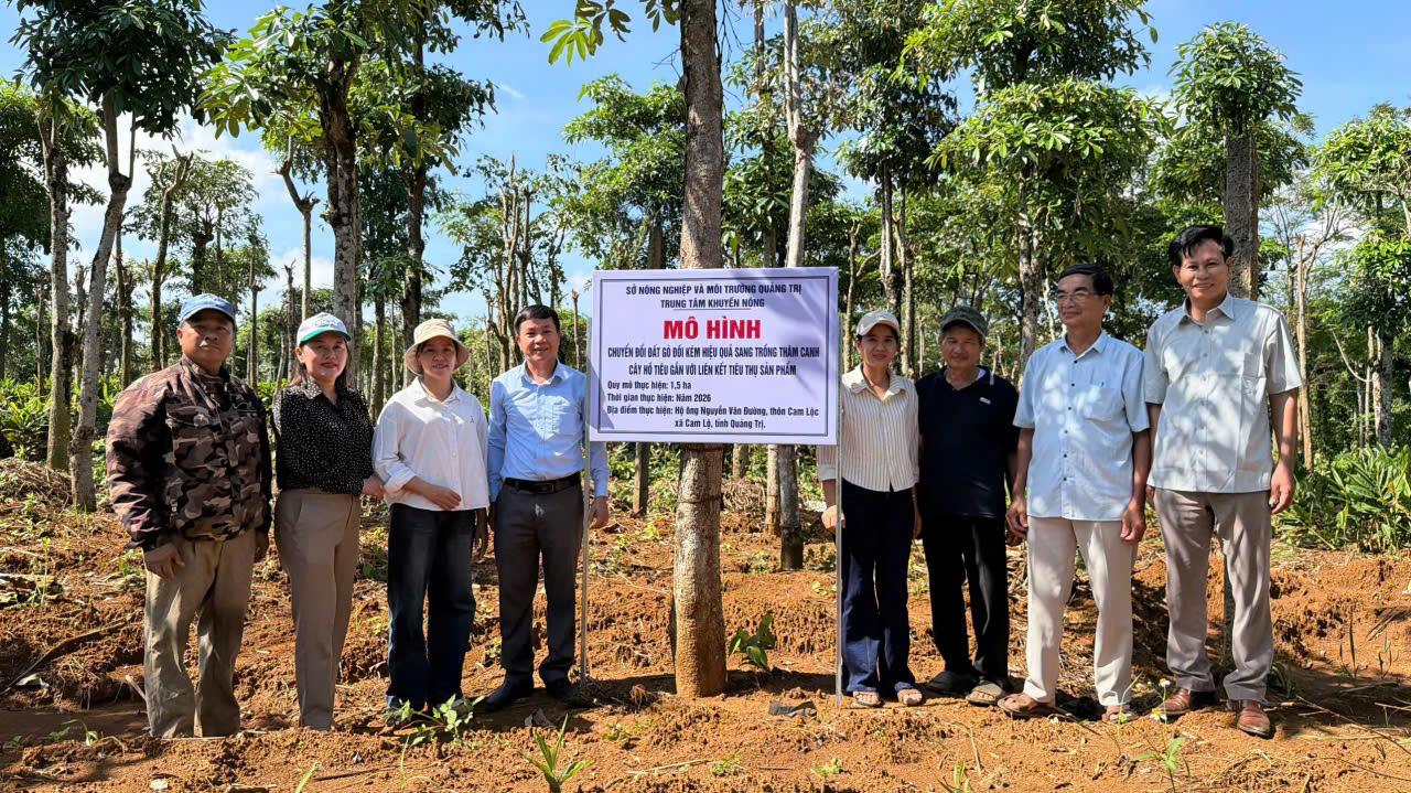 Khuyến nông góp sức khơi lại thương hiệu tiêu Cùa